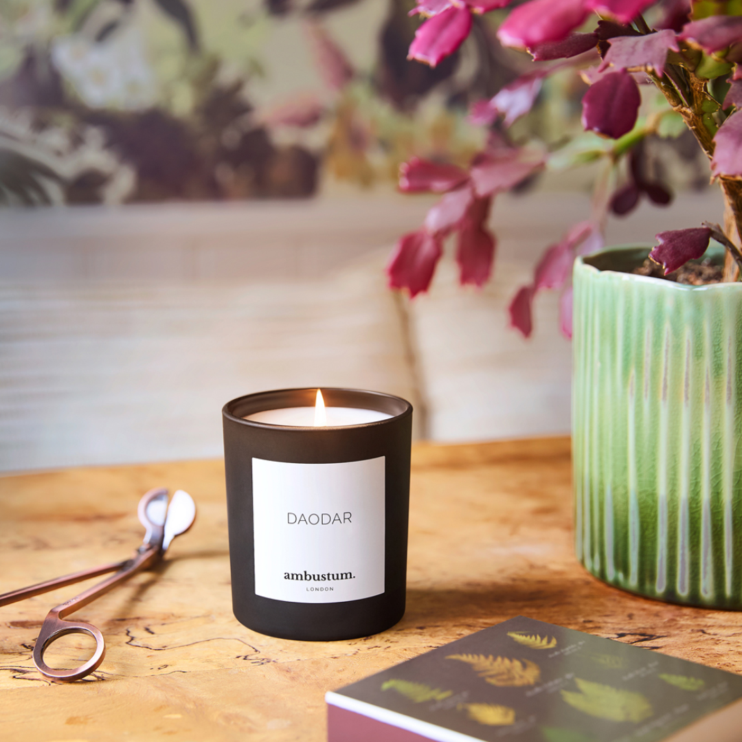 An ambustum Daodar candle in a glass candle jar with elegant white labelling. A scent profile of warm earthy richness of cedarwood and delicate hints of white florals and rose weave through, adding a soft, romantic touch.