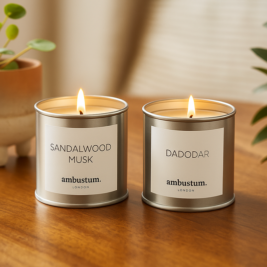 Conscious Tin Woody Duo